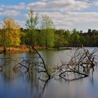 Am Lindensee