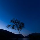 Am Llyn Padarn ...