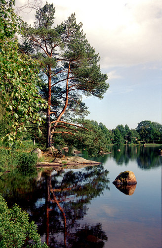 Am Långasjönäs bei Karlshamn / Südschweden