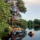 Am Långasjönäs bei Karlshamn / Südschweden