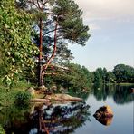 Am Långasjönäs bei Karlshamn / Südschweden