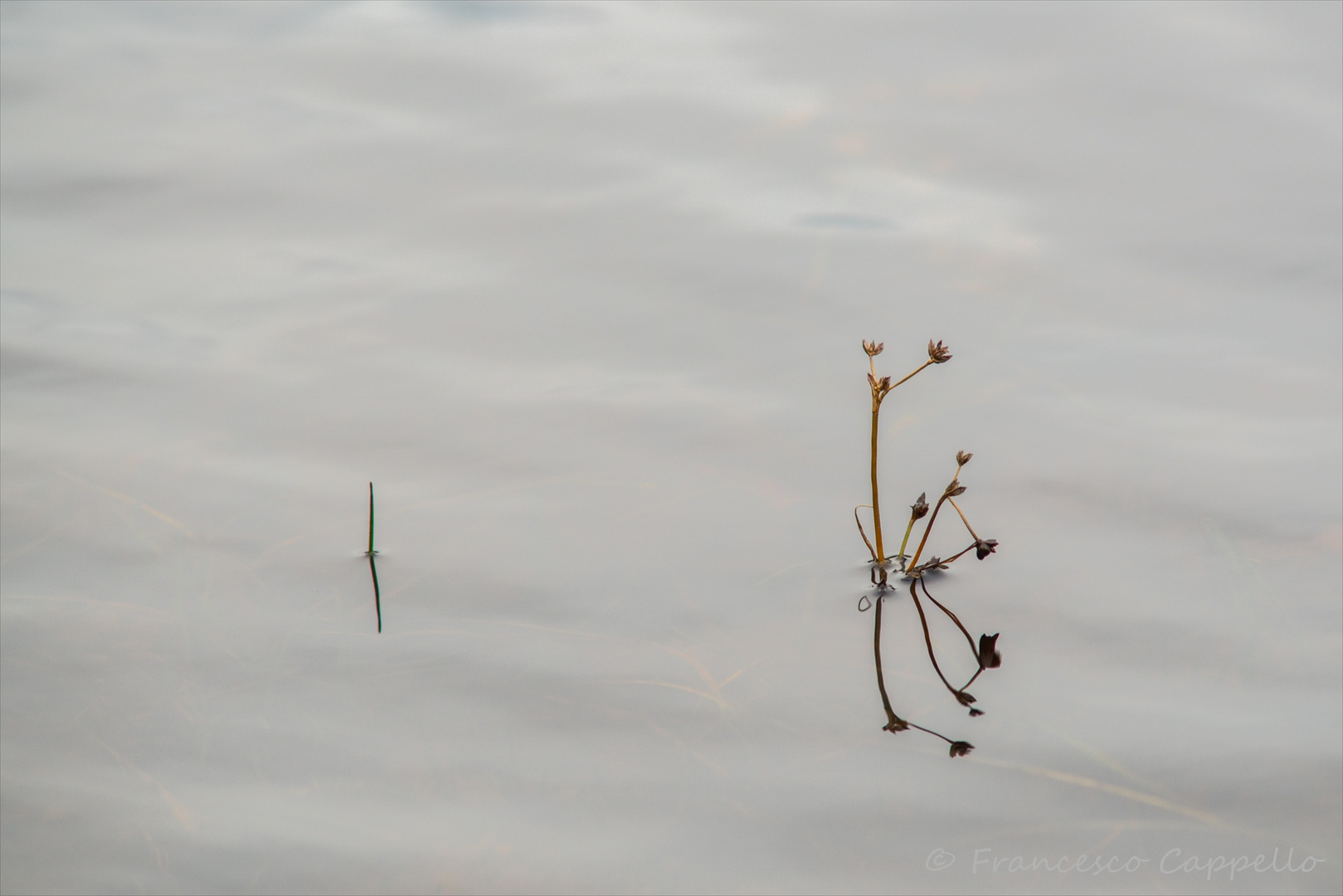 am Loch an Ordain (5)