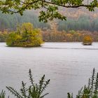 am Loch Arkaig