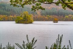 am Loch Arkaig