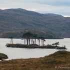 am Loch Assynt (1)