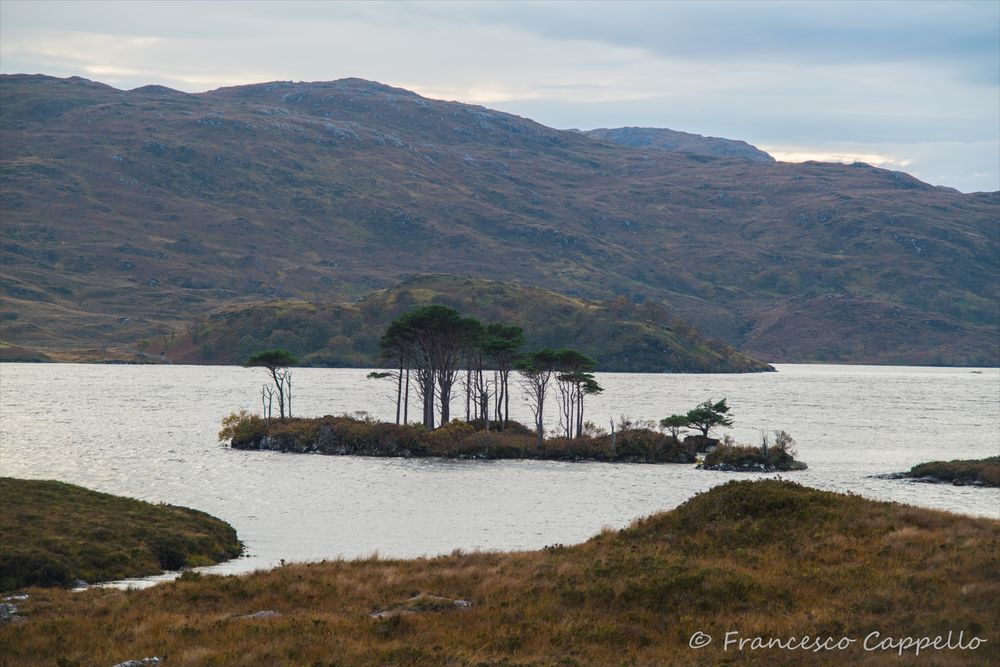 am Loch Assynt (1)