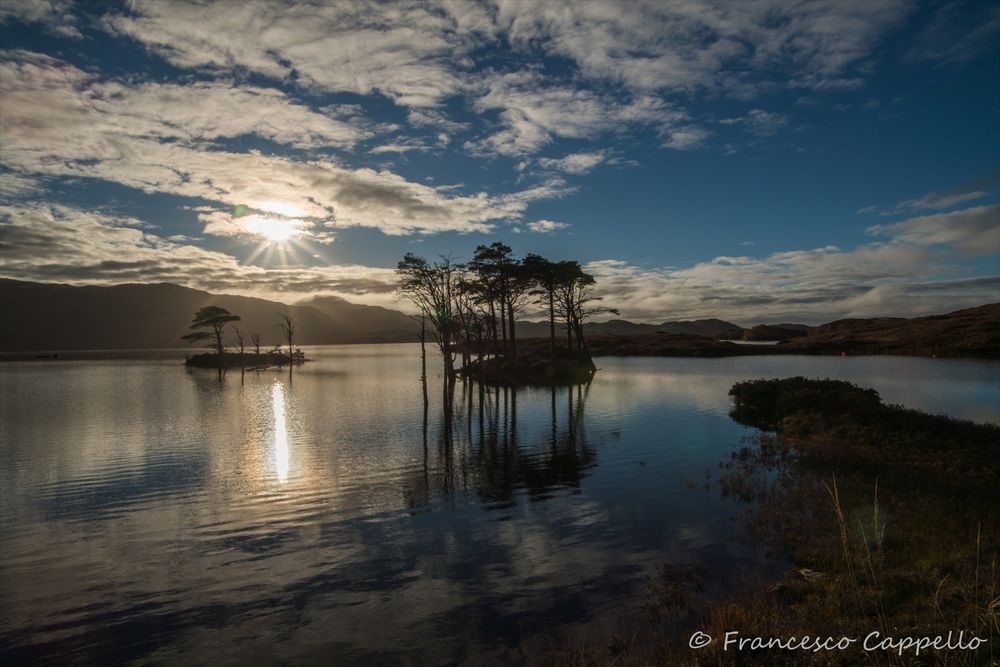 am Loch Assynt