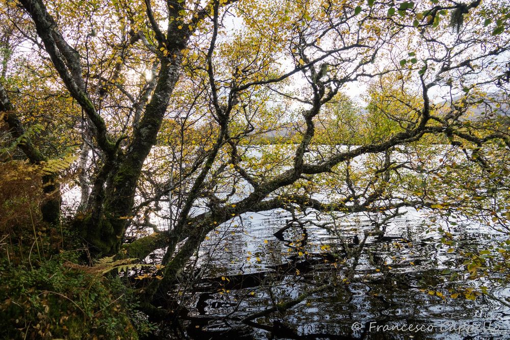 am Loch Cul Dromannan (2)