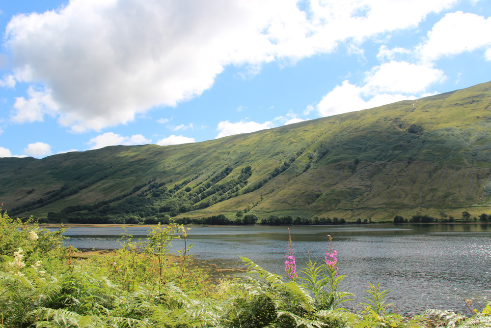 Am Loch Fyne