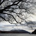 Am Loch Maree