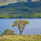 Am Loch Maree