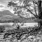 Am Loch Maree