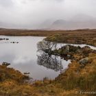 am Loch na h-Achlaise