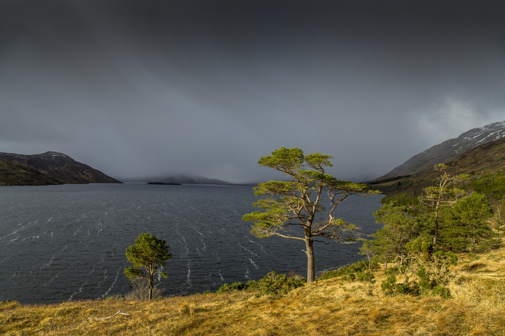 ... am Loch Quoich ...