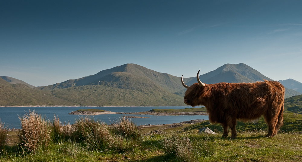 Am Loch Quoich