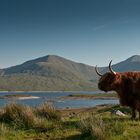 Am Loch Quoich