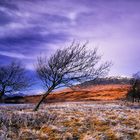 Am Loch Tulla