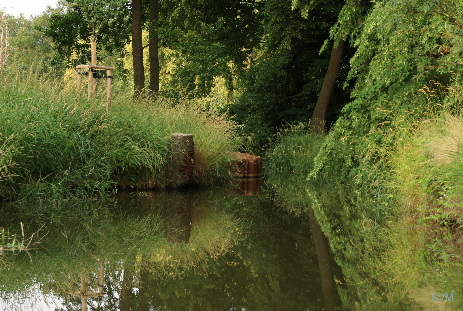 Am "Löbauer Wasser"