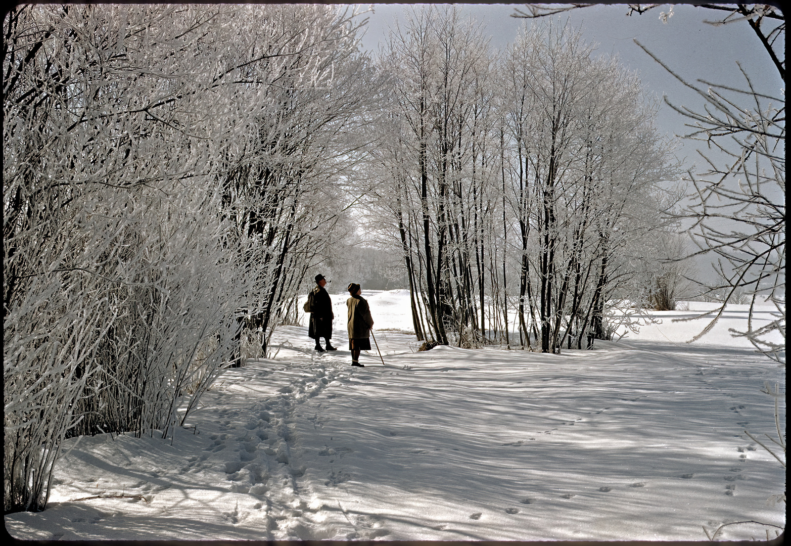 Am Loisachkanal 1958