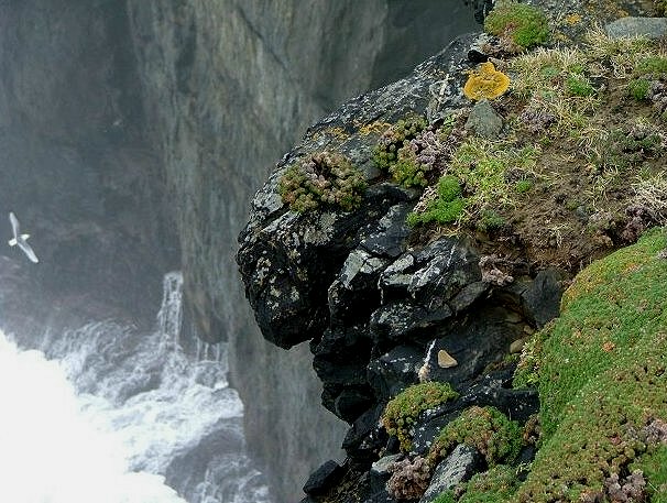 am Loop Head