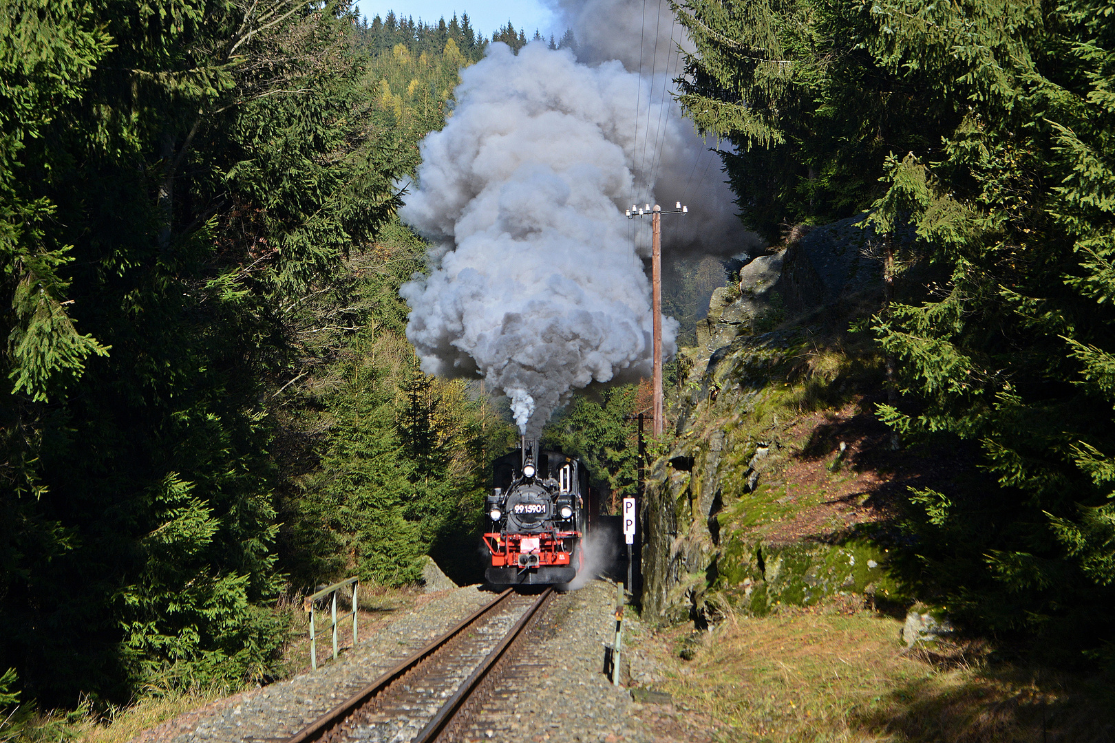 Am Loreleyfelsen