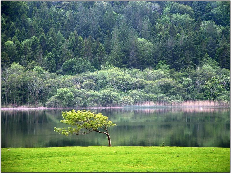 am lough glencar