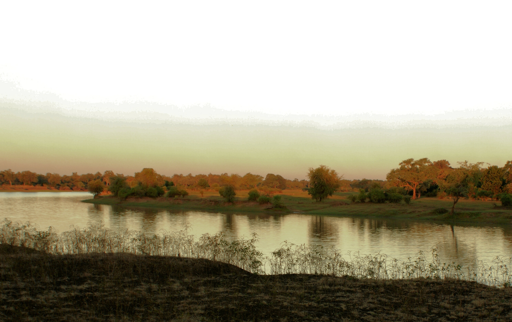 Am Luangwa