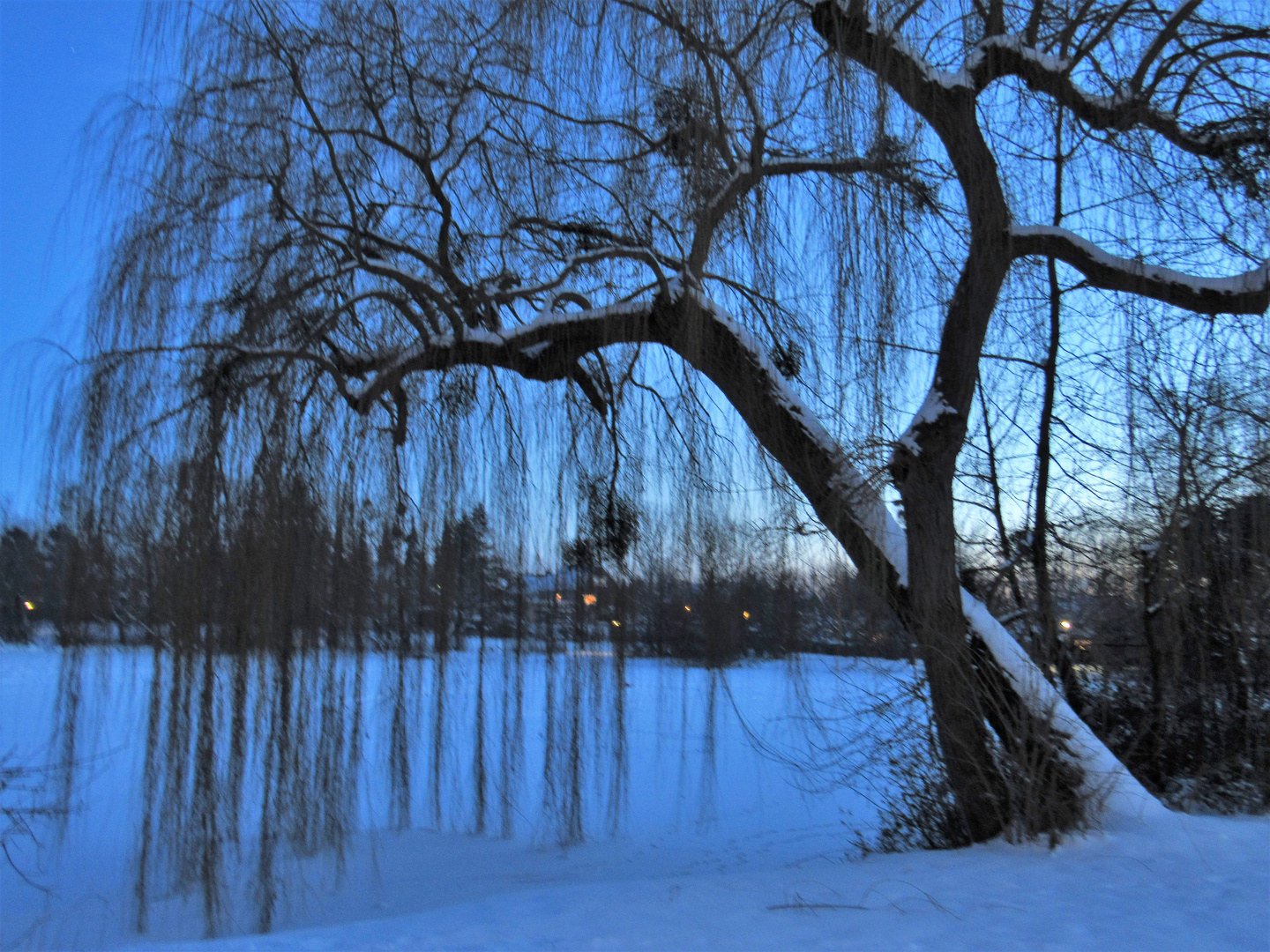 Am Ludgeriteich zur "Blauen Stunde"