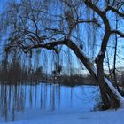 Am Ludgeriteich zur "Blauen Stunde"