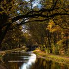 Am Ludwig-Main-Donau-Kanal…….