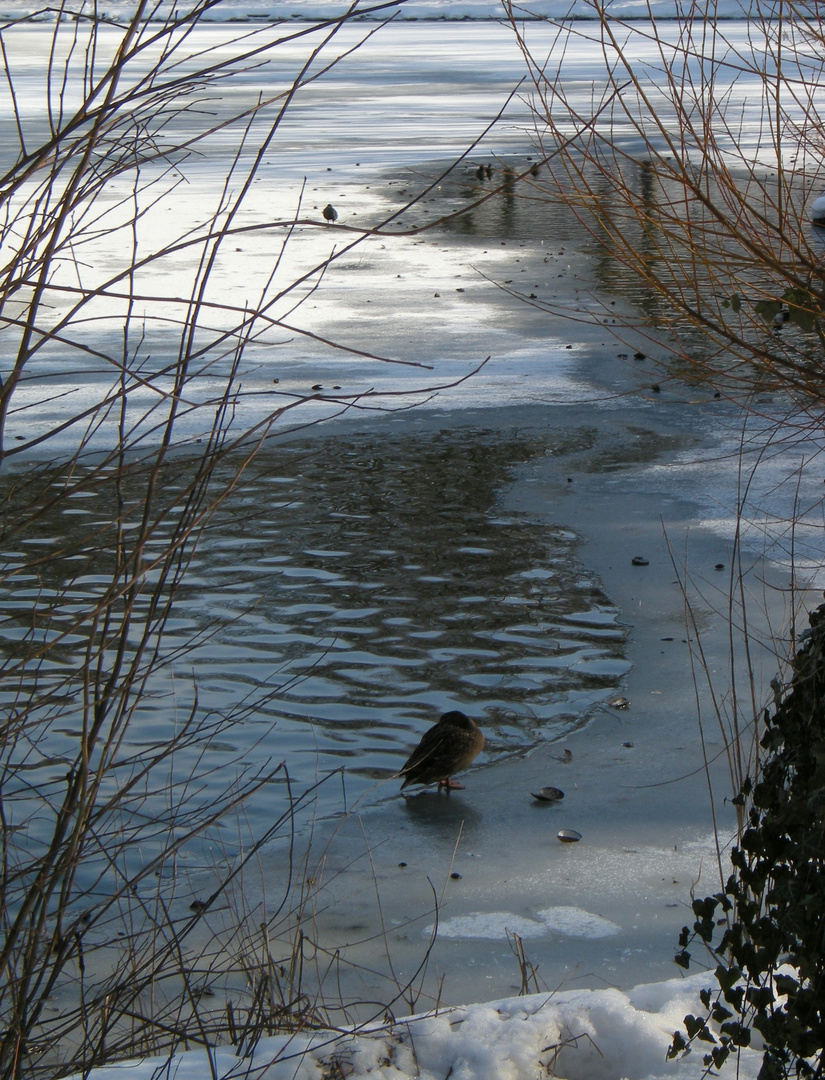 Am Lübecker Mühlenteich