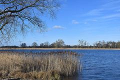 Am Lübkowsee