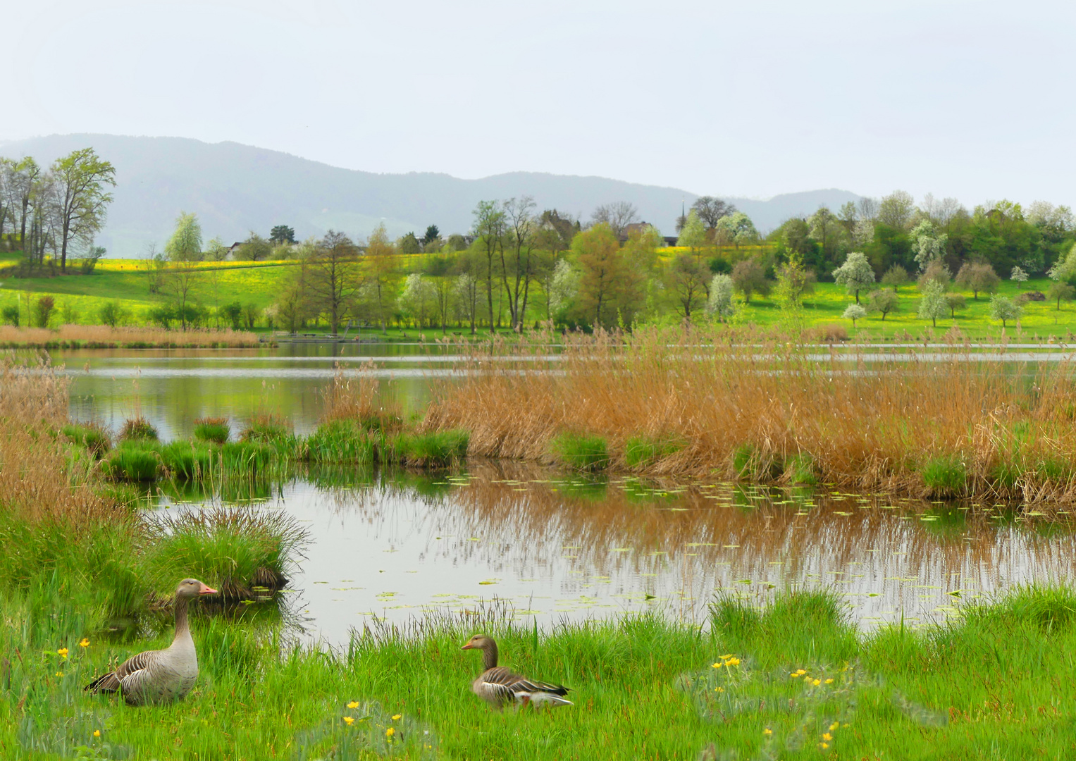 Am Lützelsee