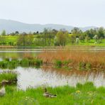 Am Lützelsee