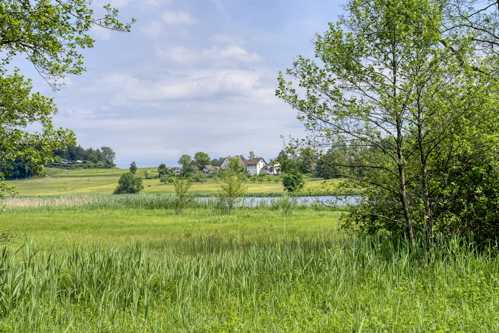 am Lützelsee