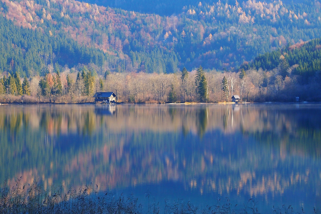 Am Lunzer See