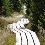 Am Lusen - Bayerischer Wald