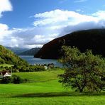 Am Lustrafjord