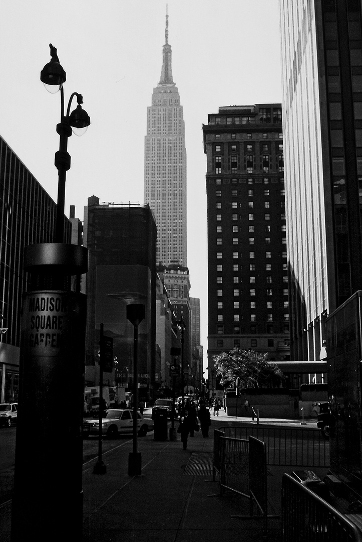 Am Madison Square Garden