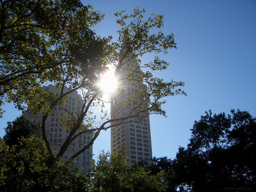 ::: Am Madison Square Park :::