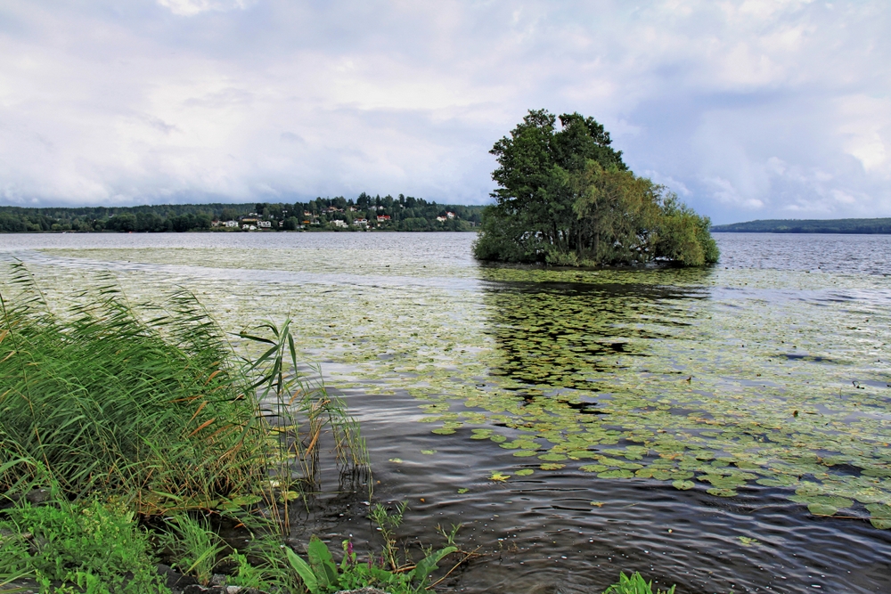 Am Mälarensee (1)