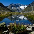 Am Märjelensee.....