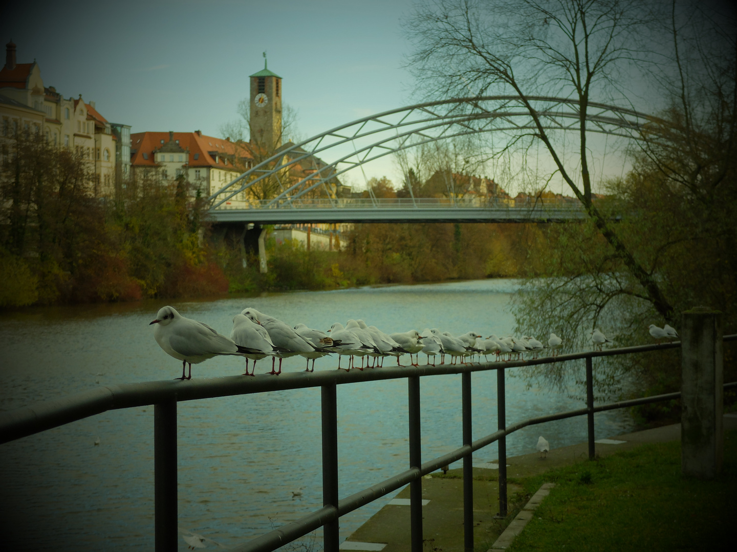 Am Main-Donau-Kanal in Bamberg