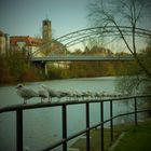 Am Main-Donau-Kanal in Bamberg