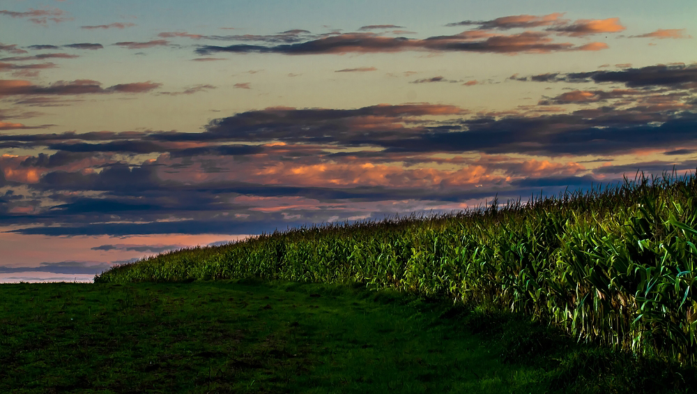 "Am Maisfeld wird's Nacht" - ein Pseudo - HDR