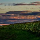 "Am Maisfeld wird's Nacht" - ein Pseudo - HDR