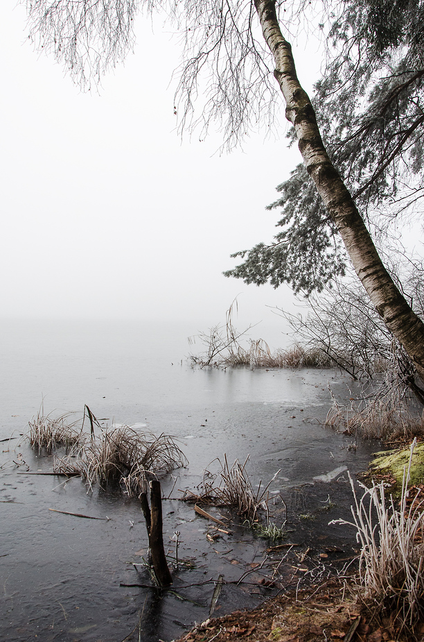 Am Maltschacher See