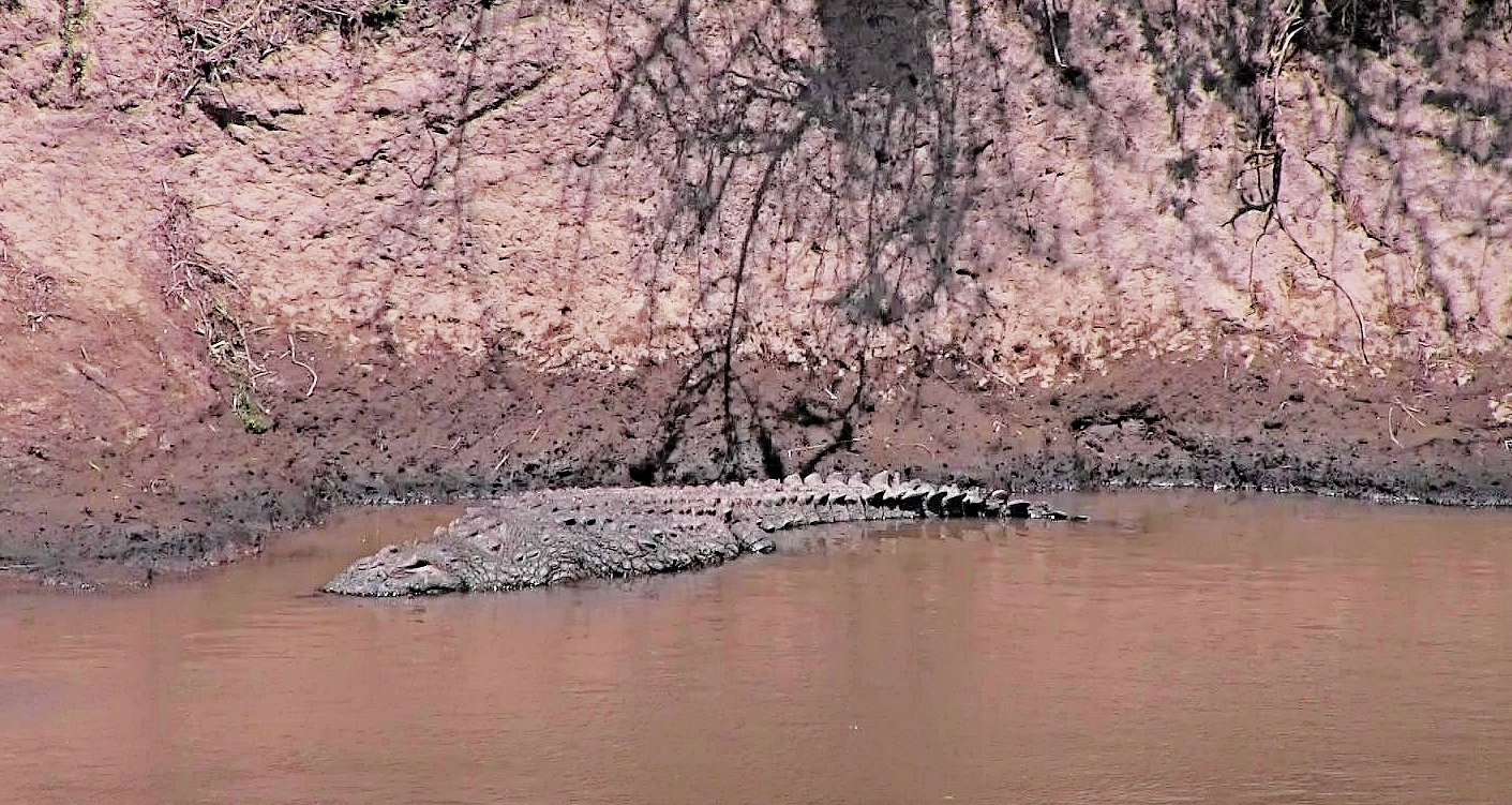 Am Mara River