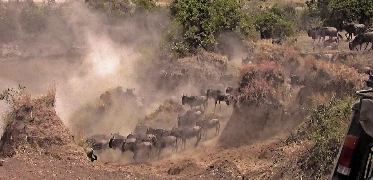 Am Mara River