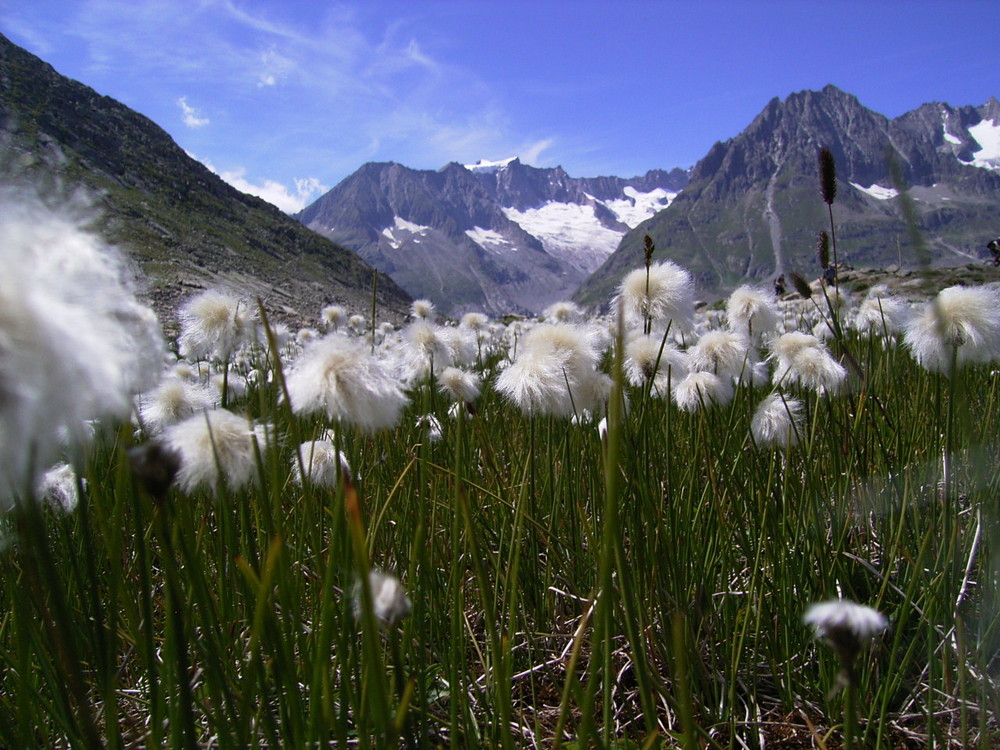 Am Marjälensee